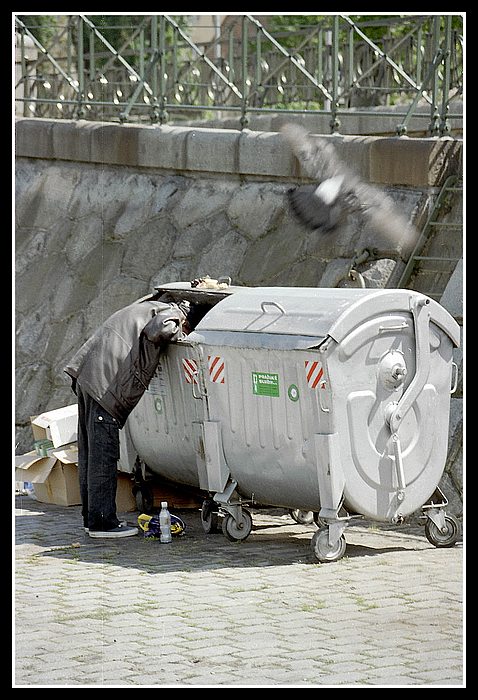 Dobří holubi se vracejí...
