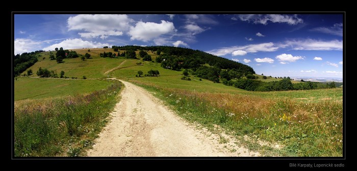 Bílé Karpaty, Lopenické sedlo