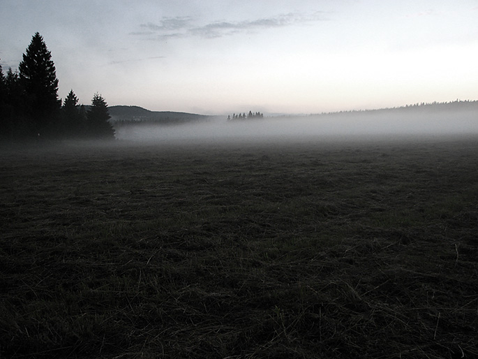 mlhovno