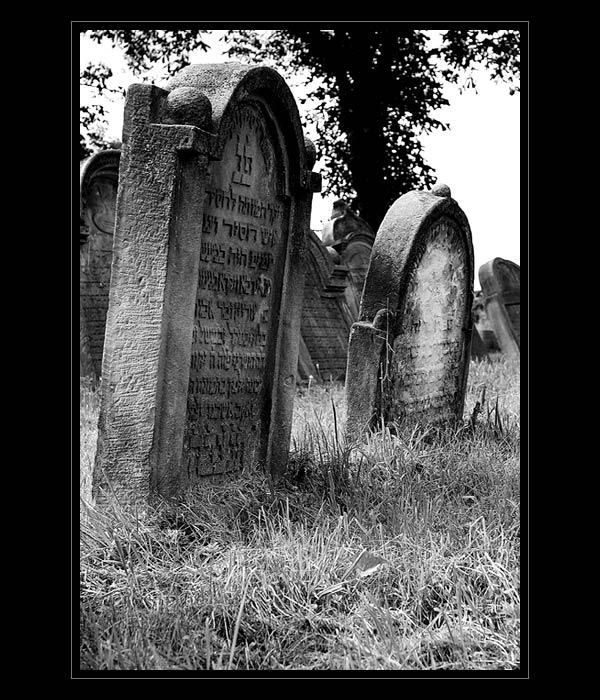 --- zid. hrbitov ---