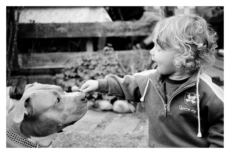 šimon I - happy dog