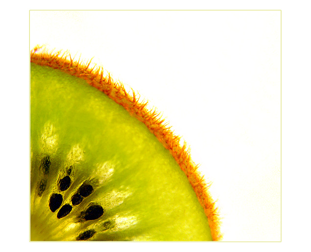 kiwi