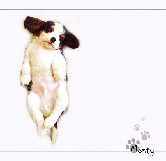 Monty