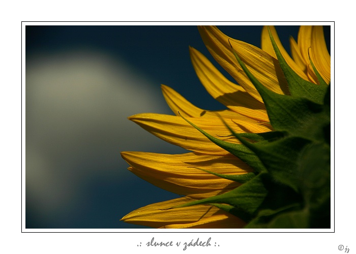.:slunce v zádech:.