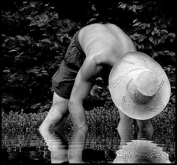 Horticulturistic - těžká práce zahradníka...