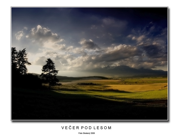 Večer pod lesom