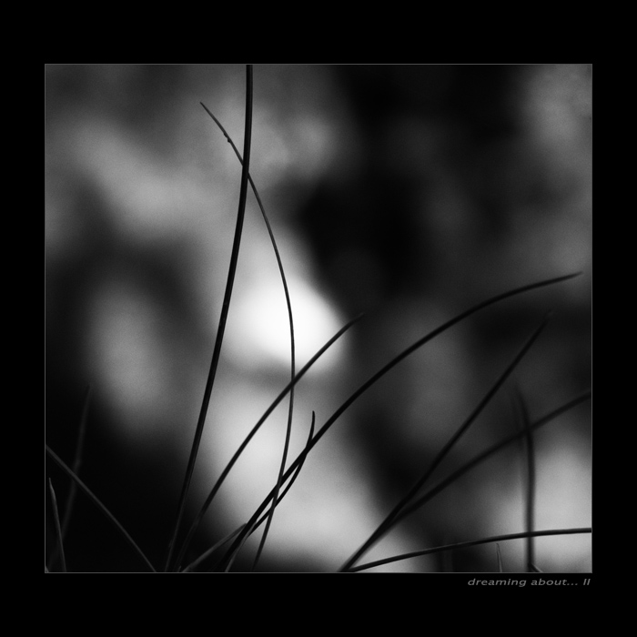 dreaming about... II