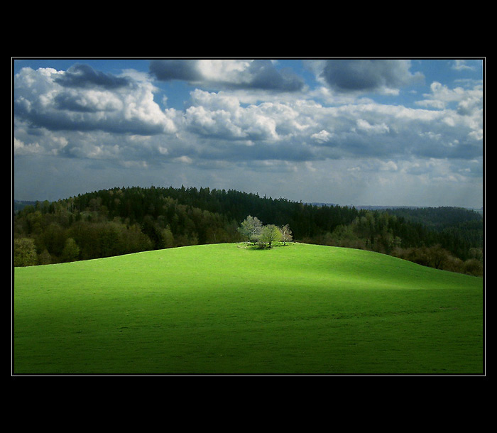 Nesmělý začátek jara