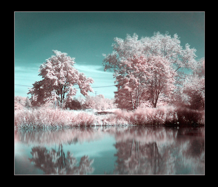 Fairy tale