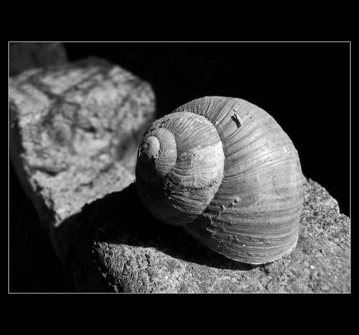 opuštěný domeček