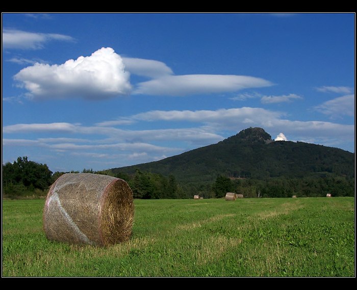 senoseč