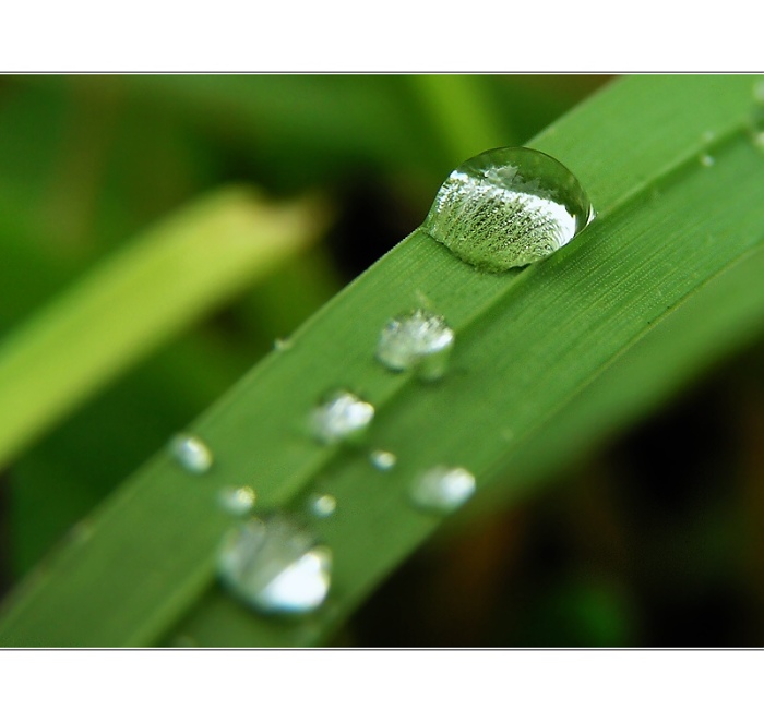 Z nebe spadlá, v trávě ukrytá