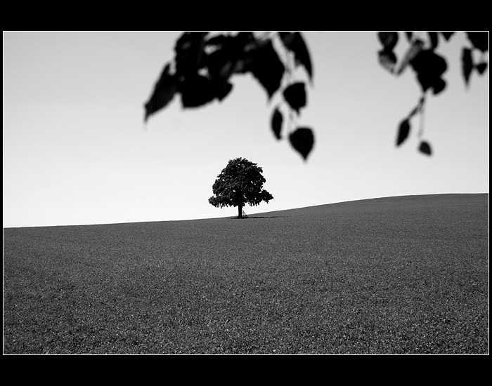 ...monochromní pohledy...
