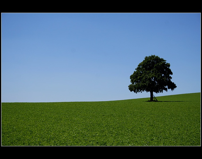 ...solitér III...
