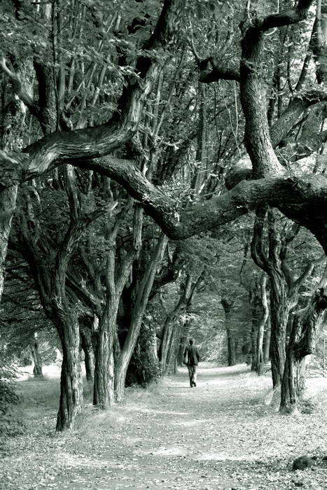 Lehký přikrčený volking