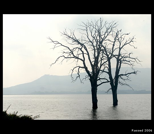 Ztroskotanci
