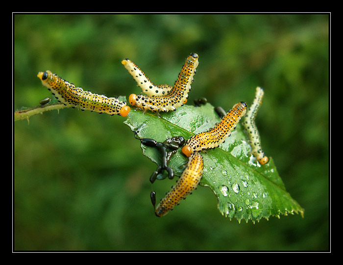 Dámy, tady se nedá vydržet!