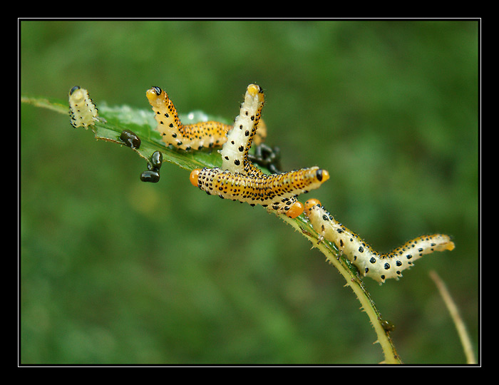 Dámy, tady se nedá vydržet!