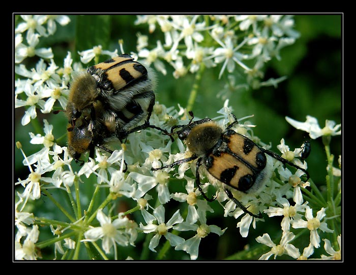 Zbyly mu jen oči pro pláč