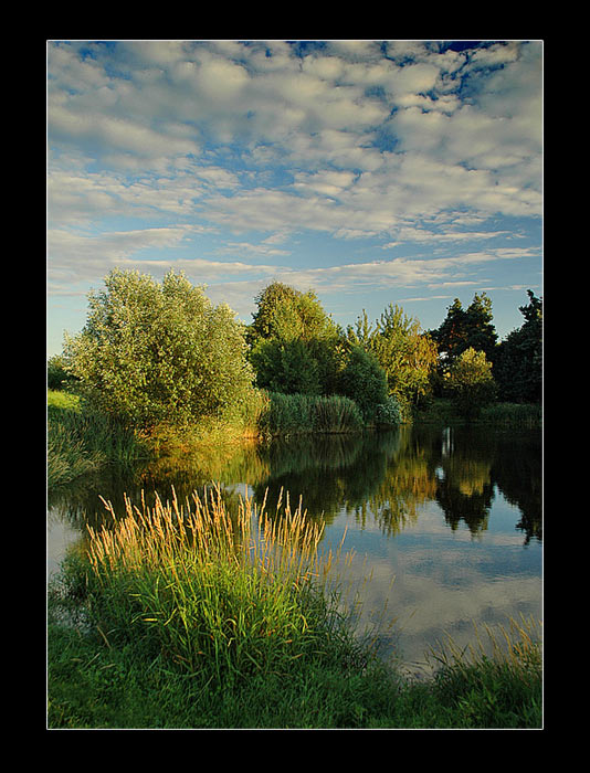 pond