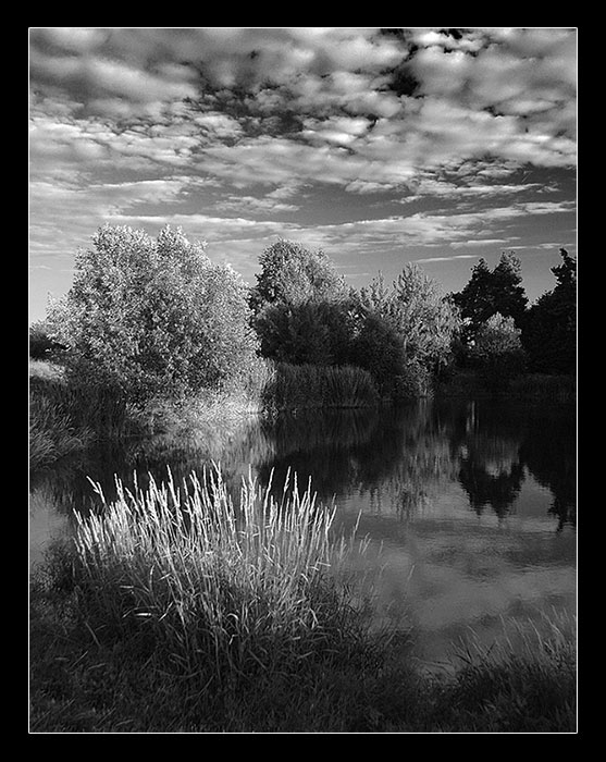 pond BW