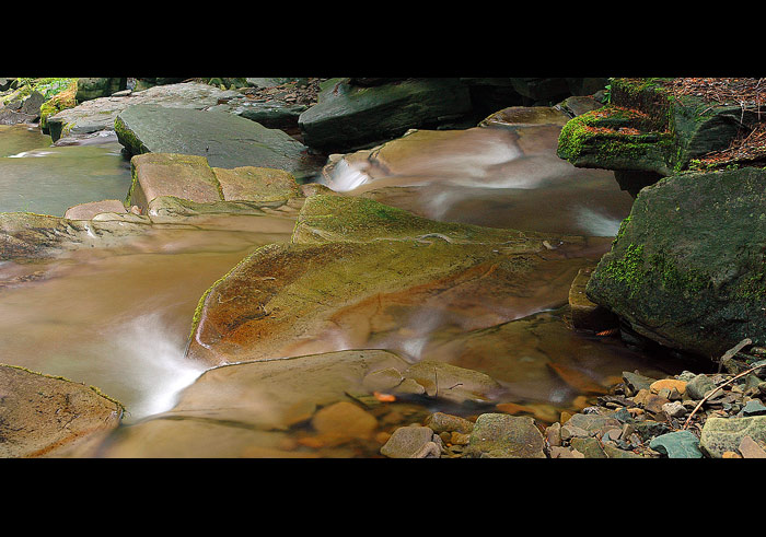 forest stream III
