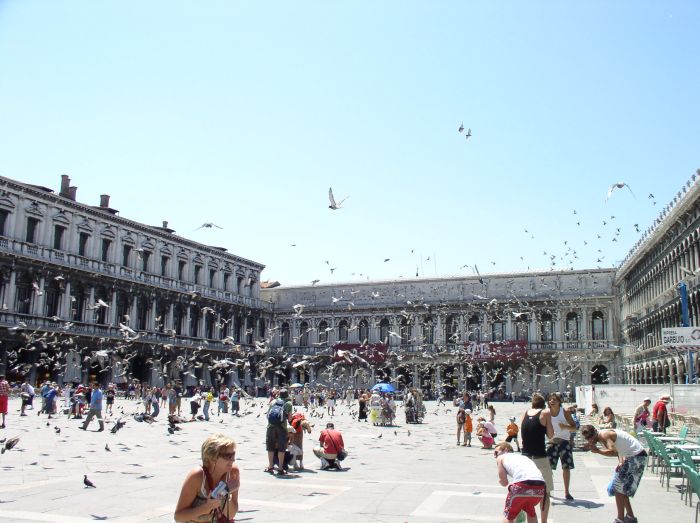 Invazia holubov v Benatkach