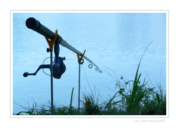 Rybářské zátiší