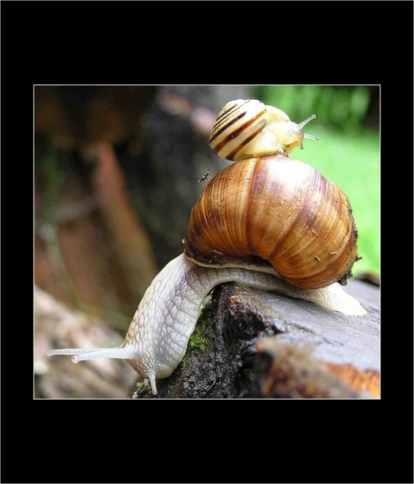 A jedeme na výlet !