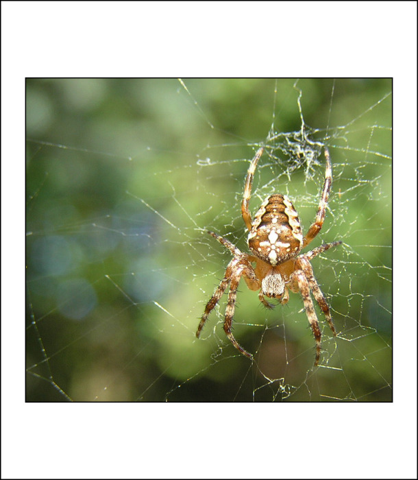  ... bude dnes večeře?