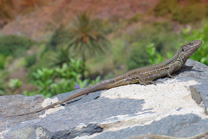 Please, don\'t disturb !