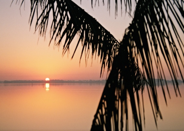 Tampa Bay