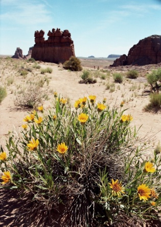 Goblin valley Utah