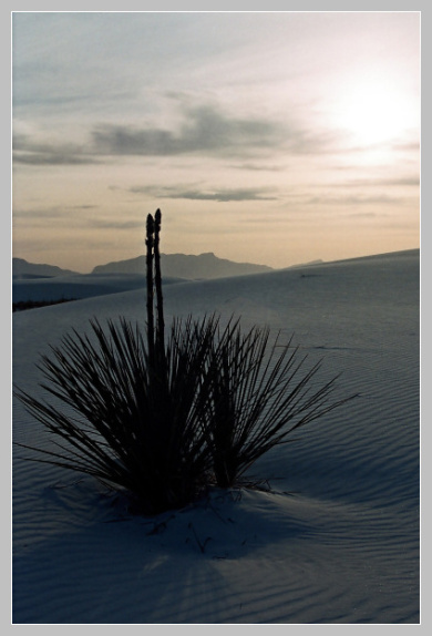 White Sands 2