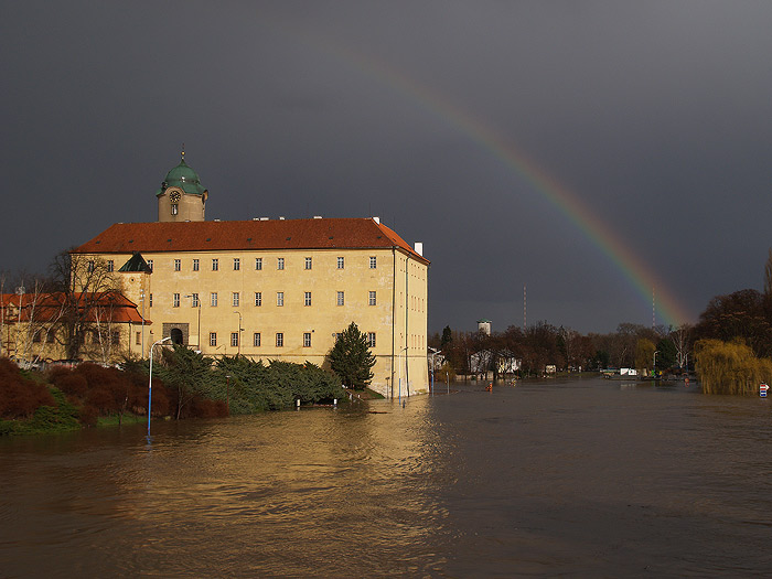 Živly