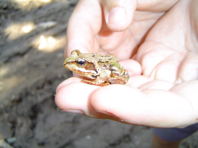 nájdená len tak na prechádzke na Donovaloch
