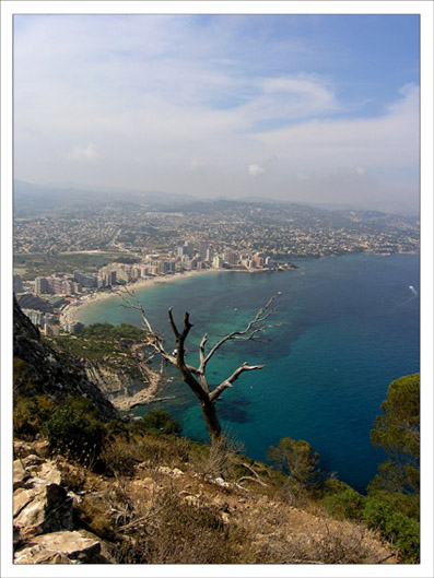 Calp 2006, Espaňol