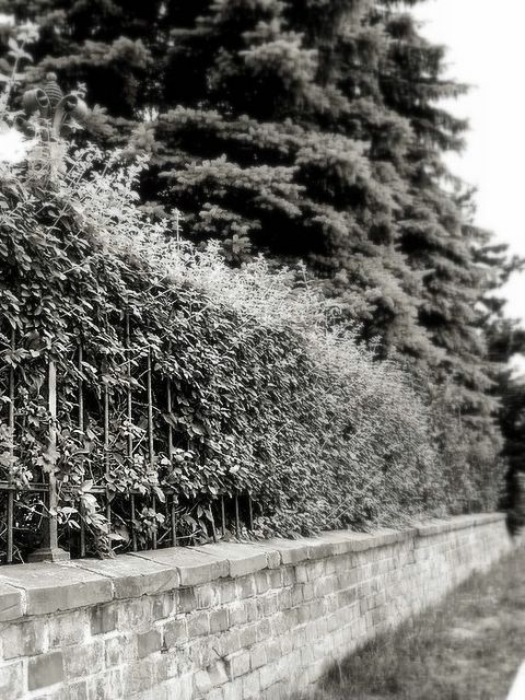 vzpomínky z dětství