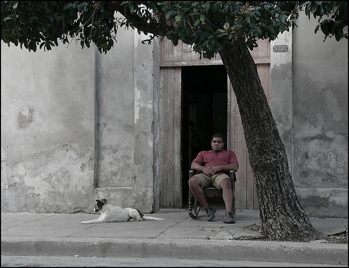 pan domácí