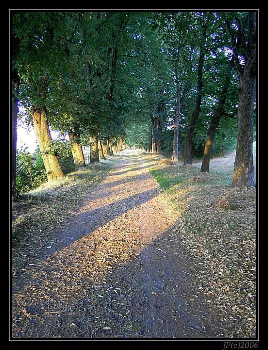 sunny way