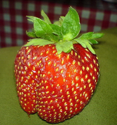 Pochuťka