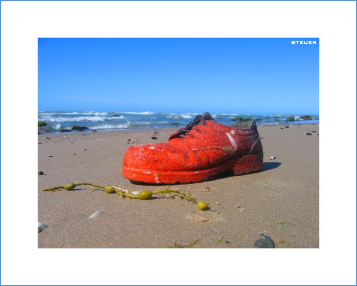 lost sailor\'s shoe