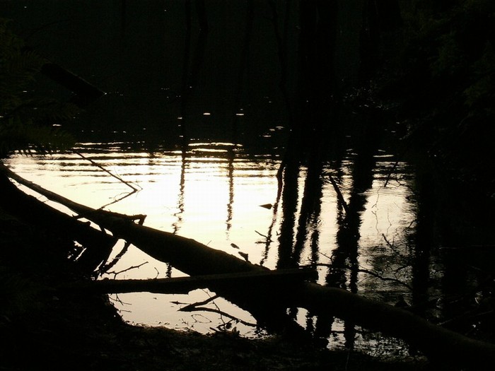 Mrtvé jezero u Trutnova
