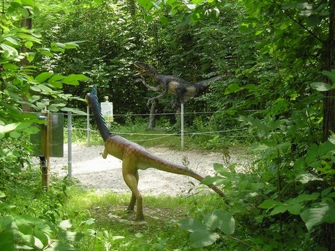 Dinosauři