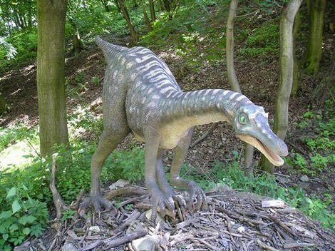 Ornitomimus
