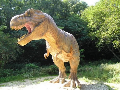 Tyrannosaurus rex