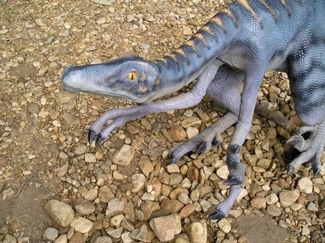 Predátor