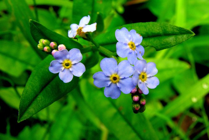 Blue...