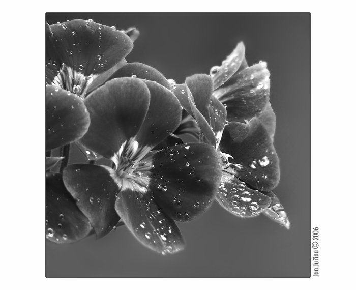 Off colour