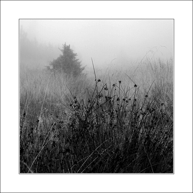 Krušnohorské zátiší